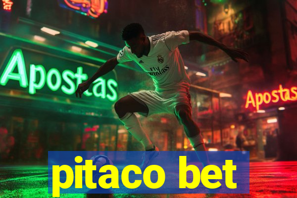 pitaco bet